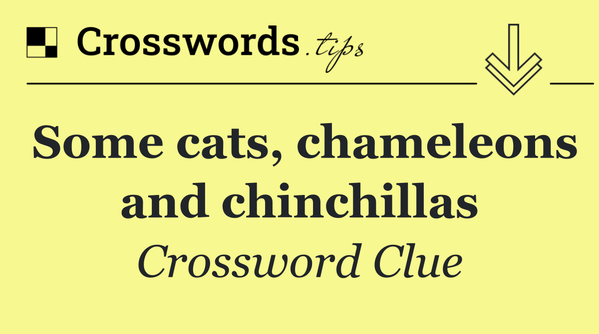 Some cats, chameleons and chinchillas