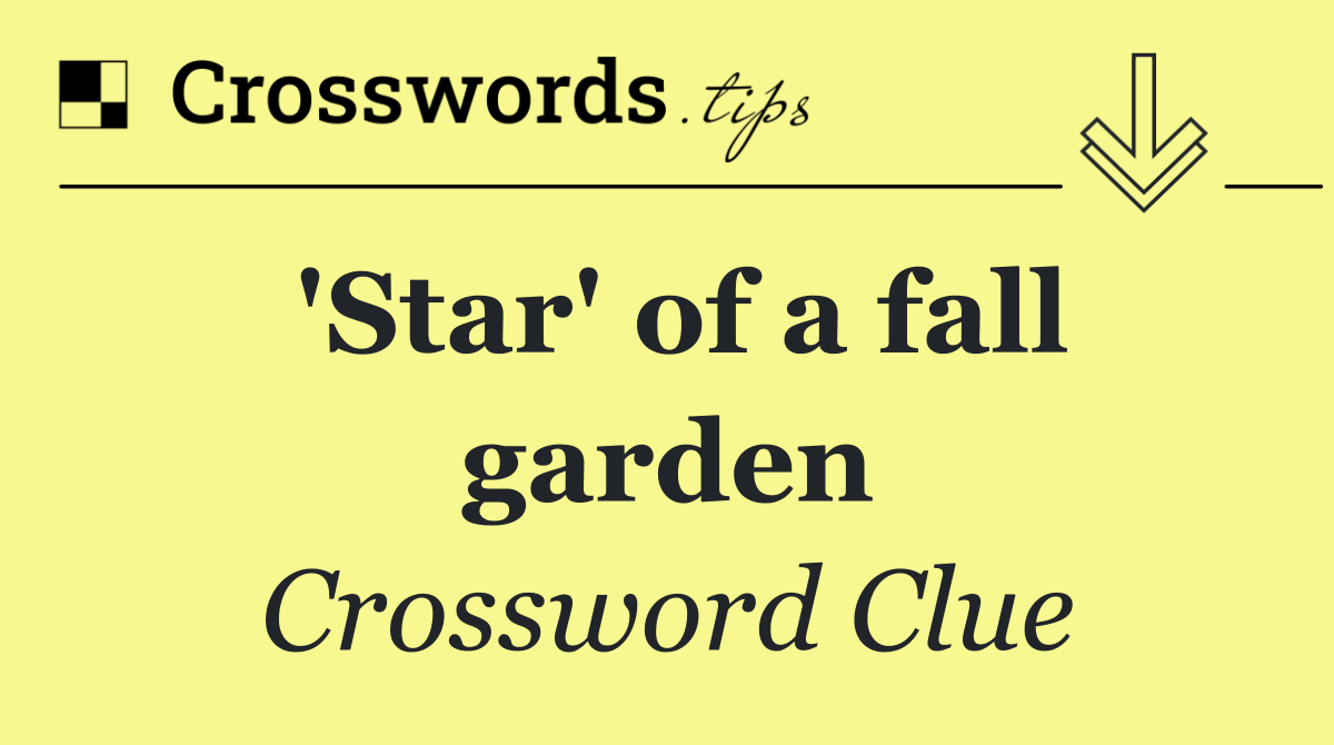 'Star' of a fall garden