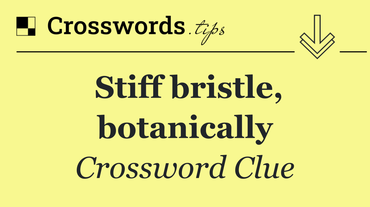 Stiff bristle, botanically