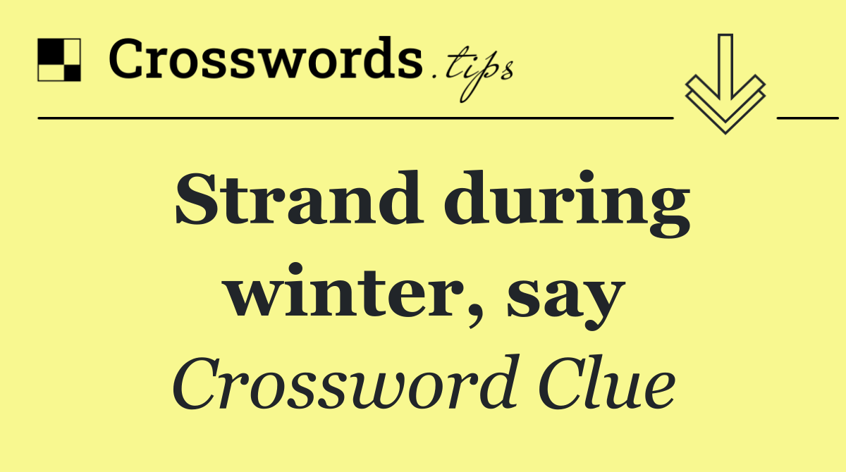 Strand during winter, say