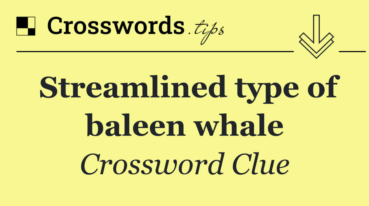 Streamlined type of baleen whale