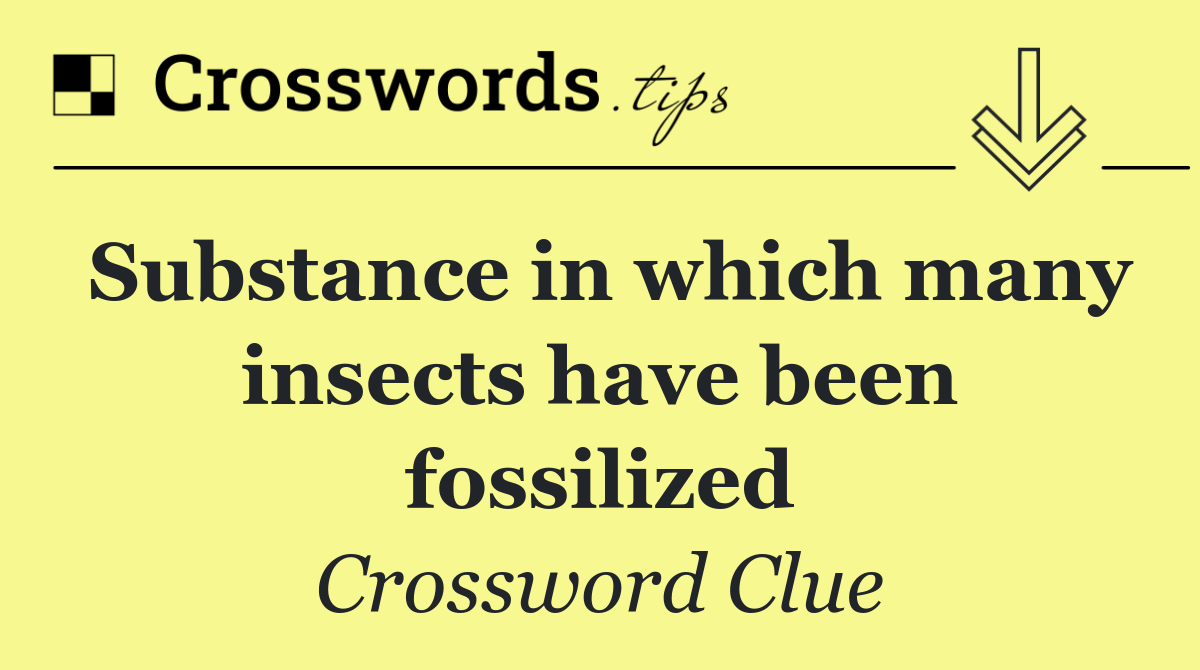 Substance in which many insects have been fossilized
