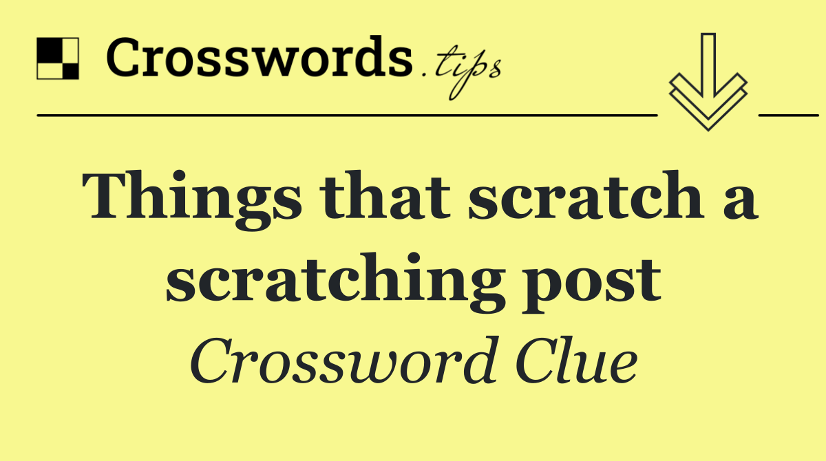 Things that scratch a scratching post