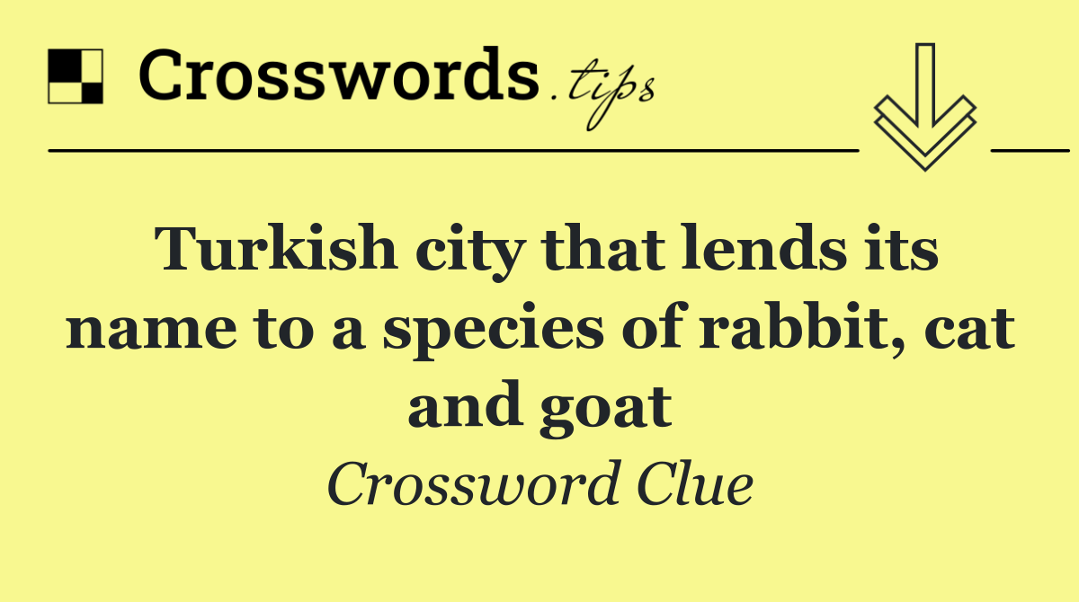 Turkish city that lends its name to a species of rabbit, cat and goat