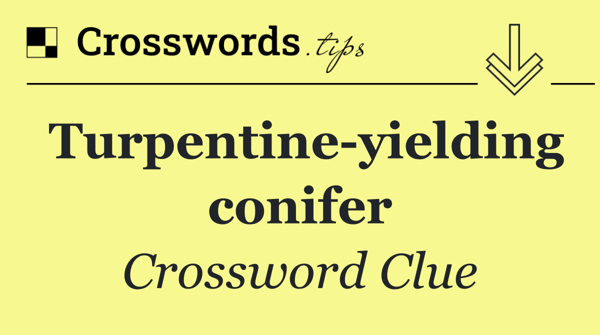 Turpentine yielding conifer