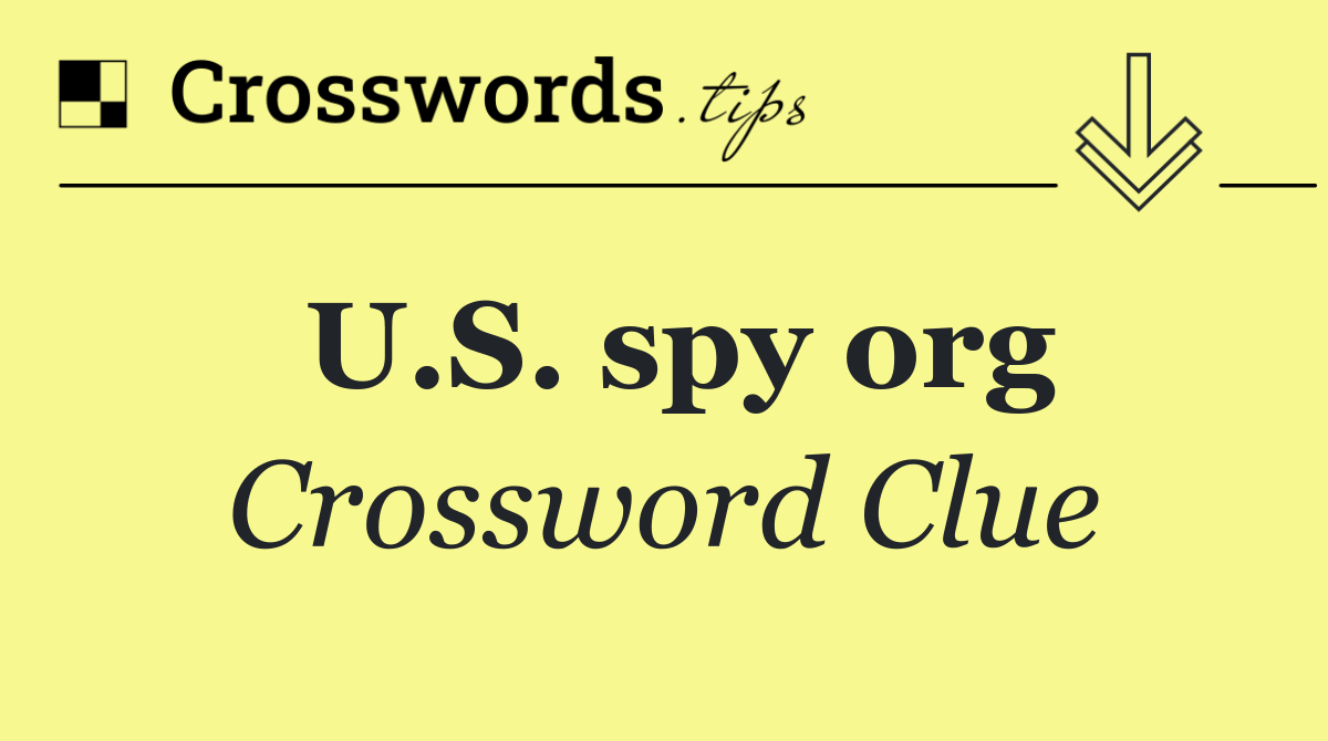 U.S. spy org