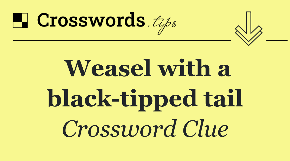 Weasel with a black tipped tail