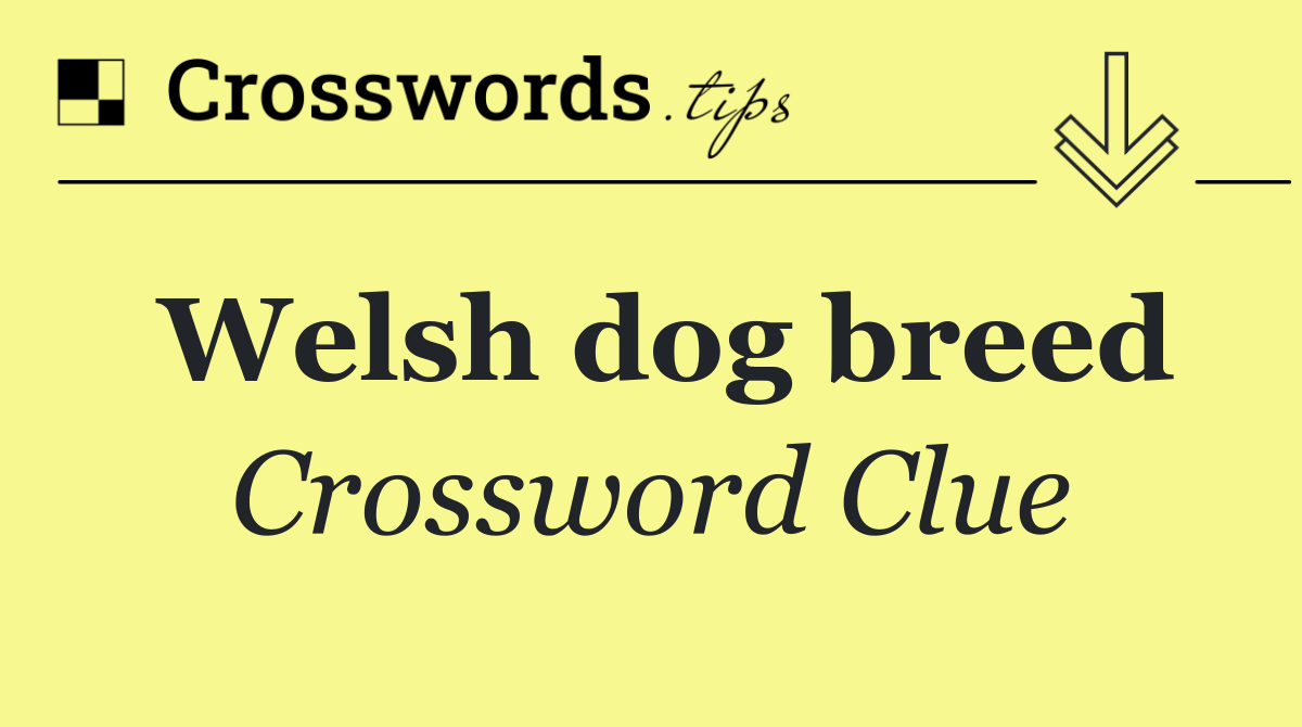 Welsh dog breed