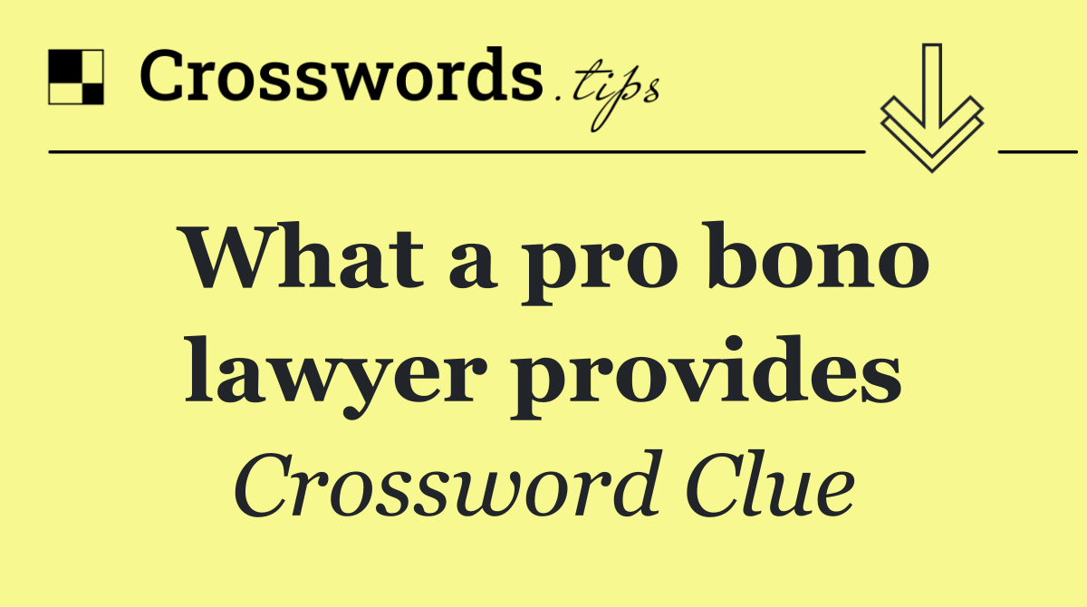 What a pro bono lawyer provides