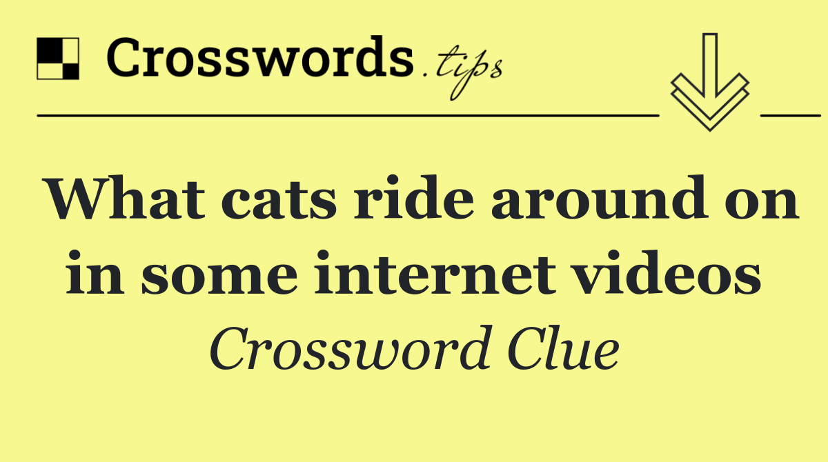 What cats ride around on in some internet videos