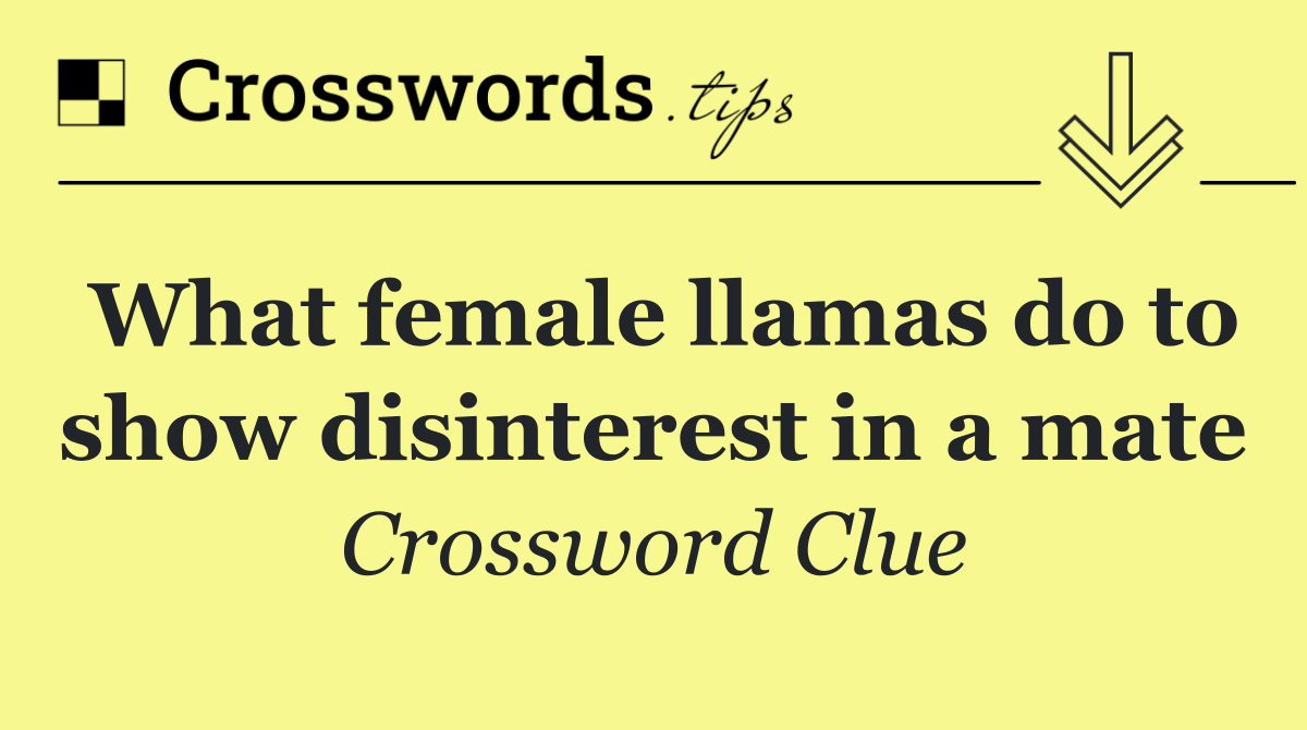 What female llamas do to show disinterest in a mate