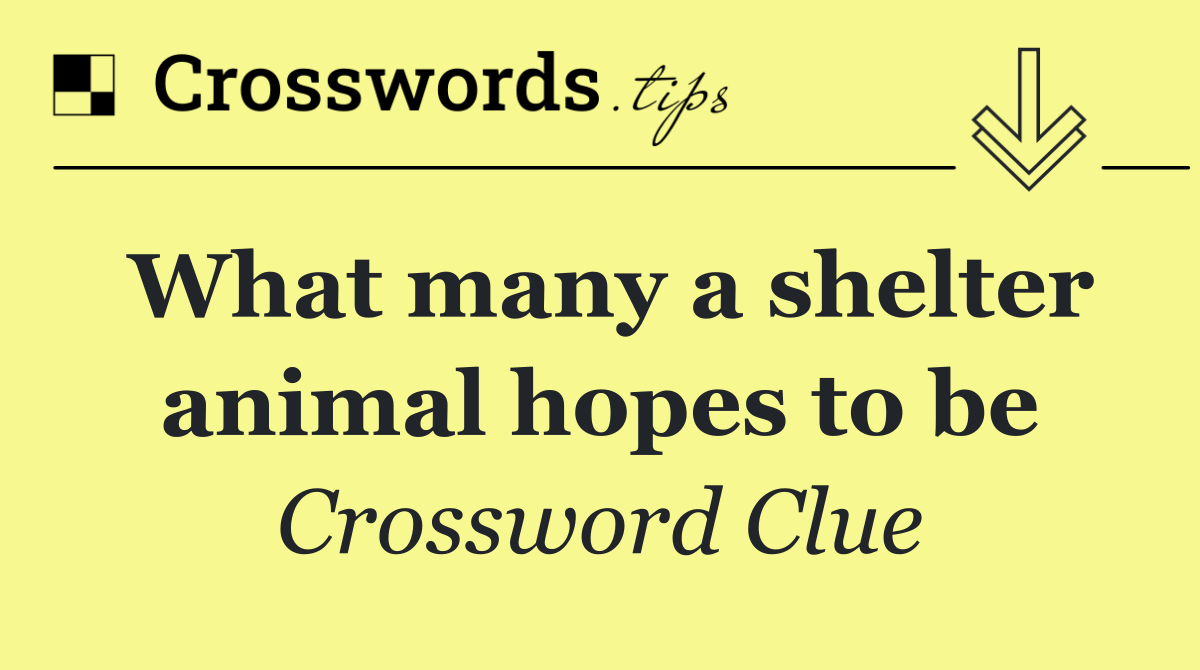 What many a shelter animal hopes to be