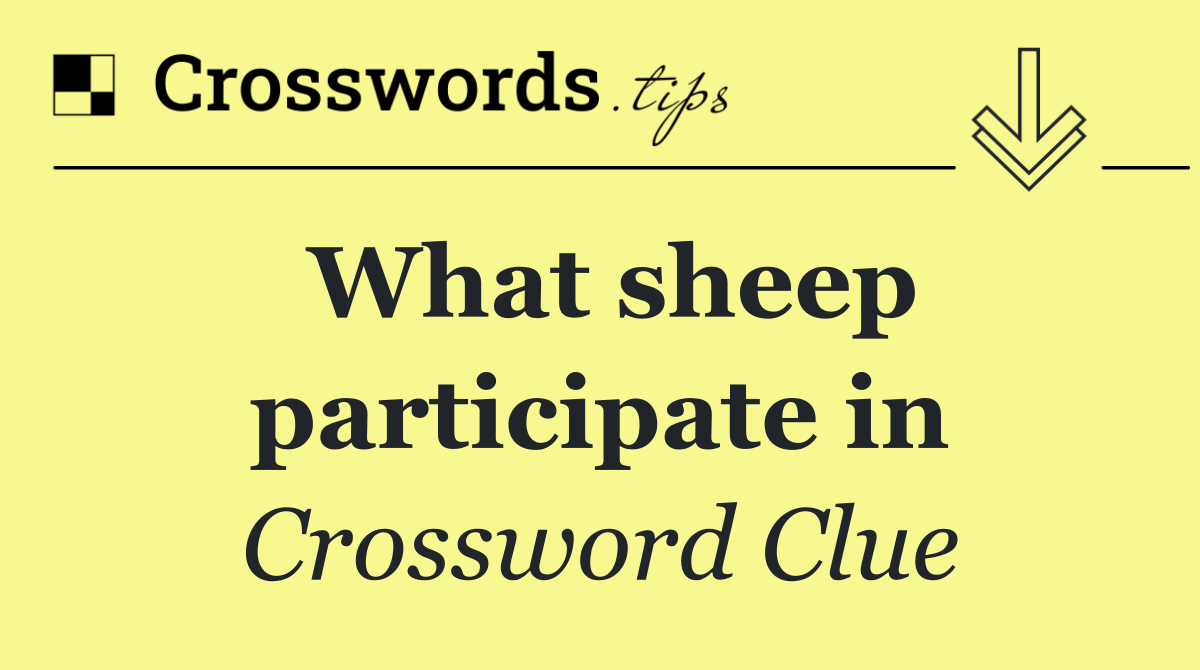What sheep participate in