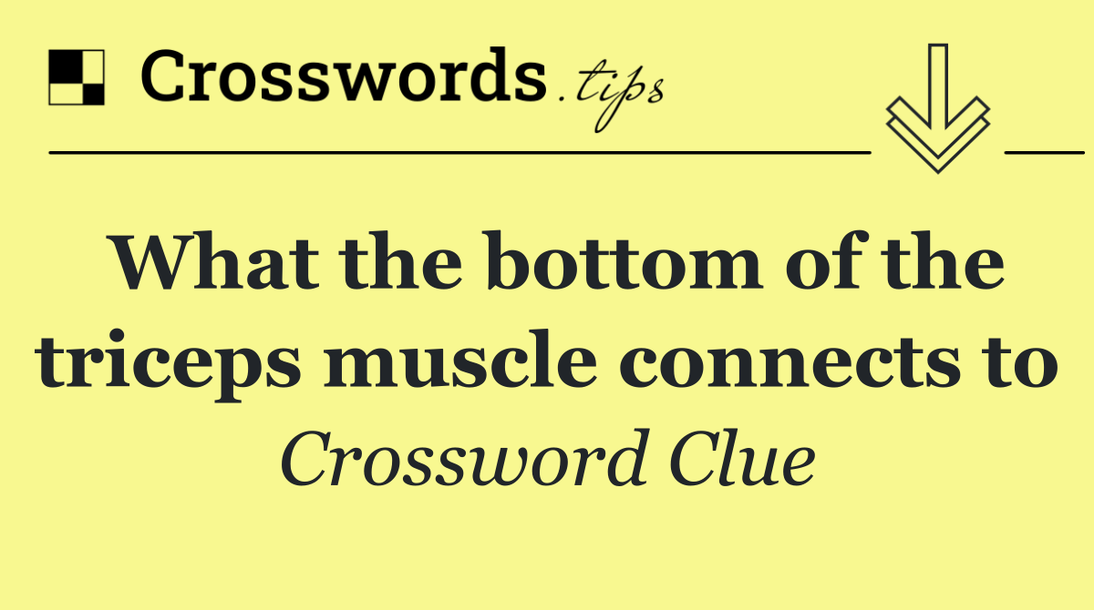 What the bottom of the triceps muscle connects to