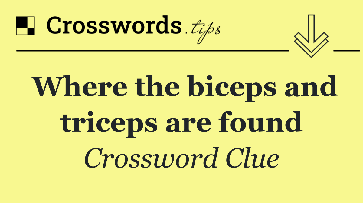 Where the biceps and triceps are found