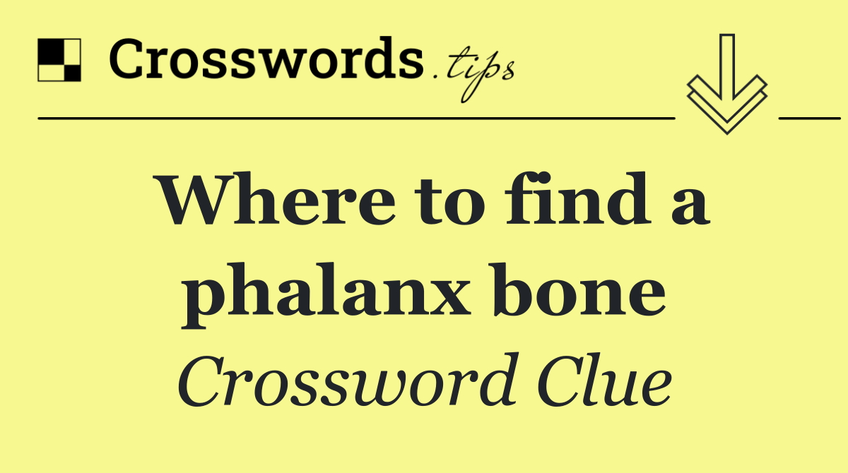 Where to find a phalanx bone