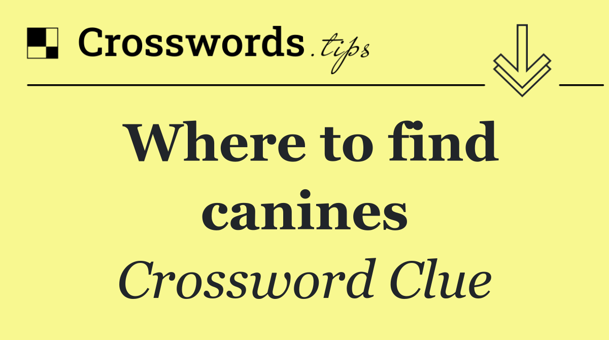 Where to find canines