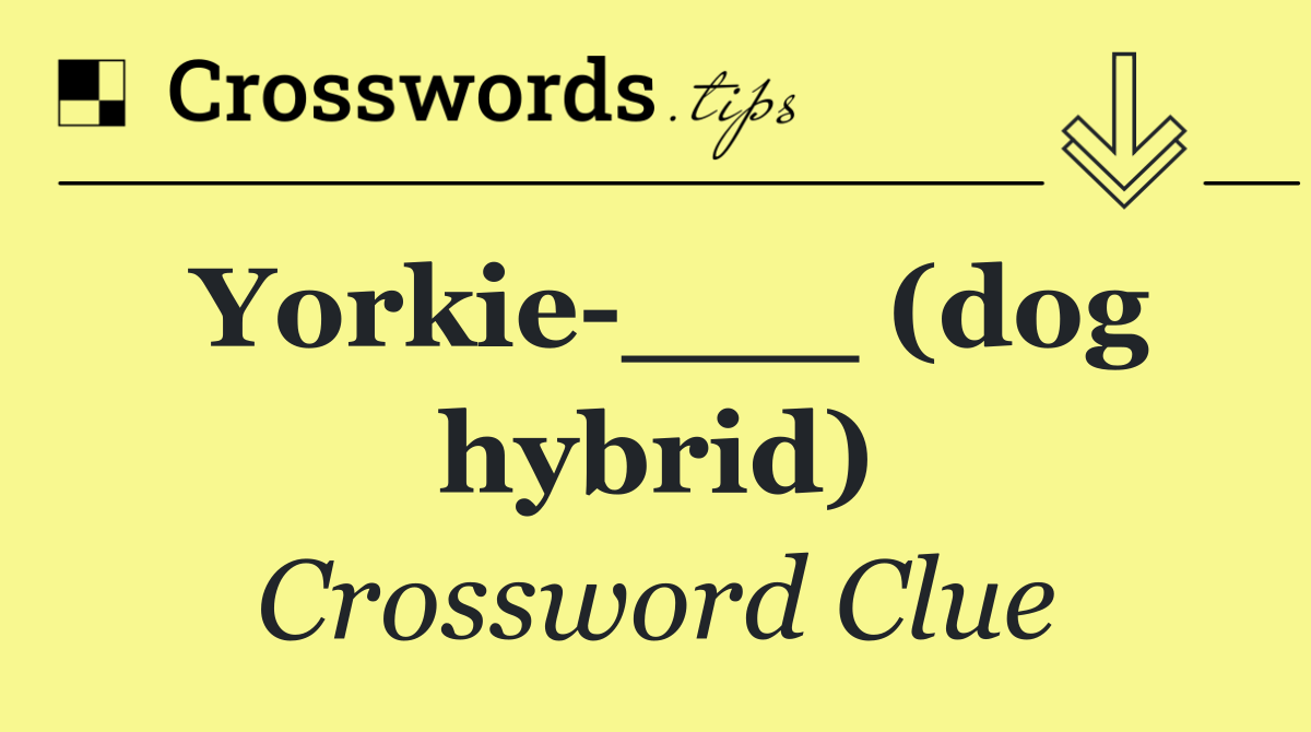 Yorkie ___ (dog hybrid)