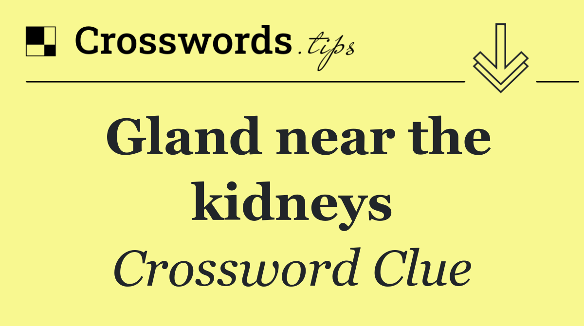 Gland near the kidneys