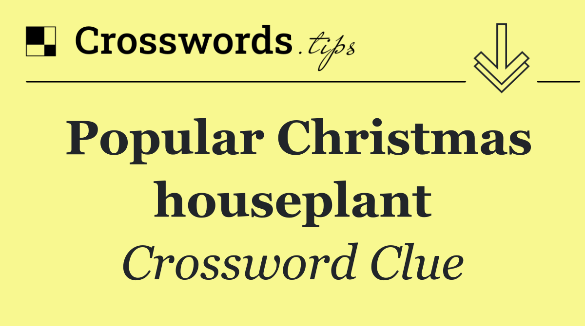 Popular Christmas houseplant