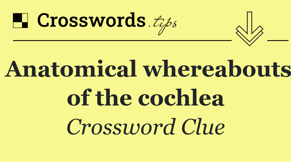 Anatomical whereabouts of the cochlea