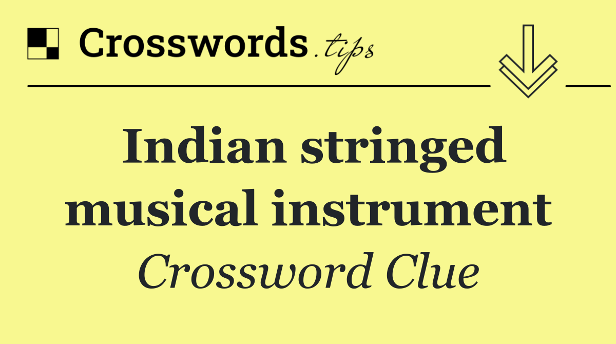 Indian stringed musical instrument