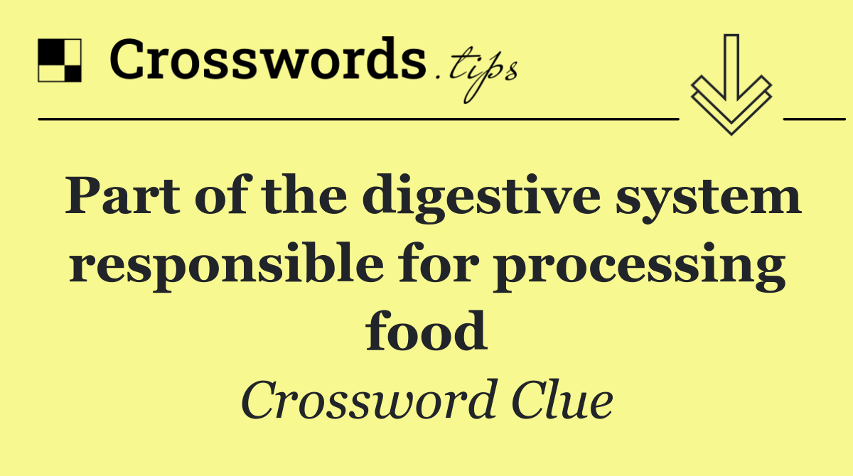 Part of the digestive system responsible for processing food