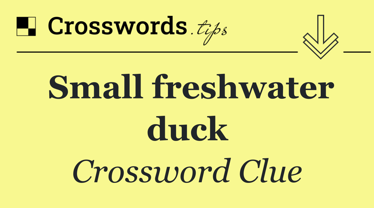 Small freshwater duck