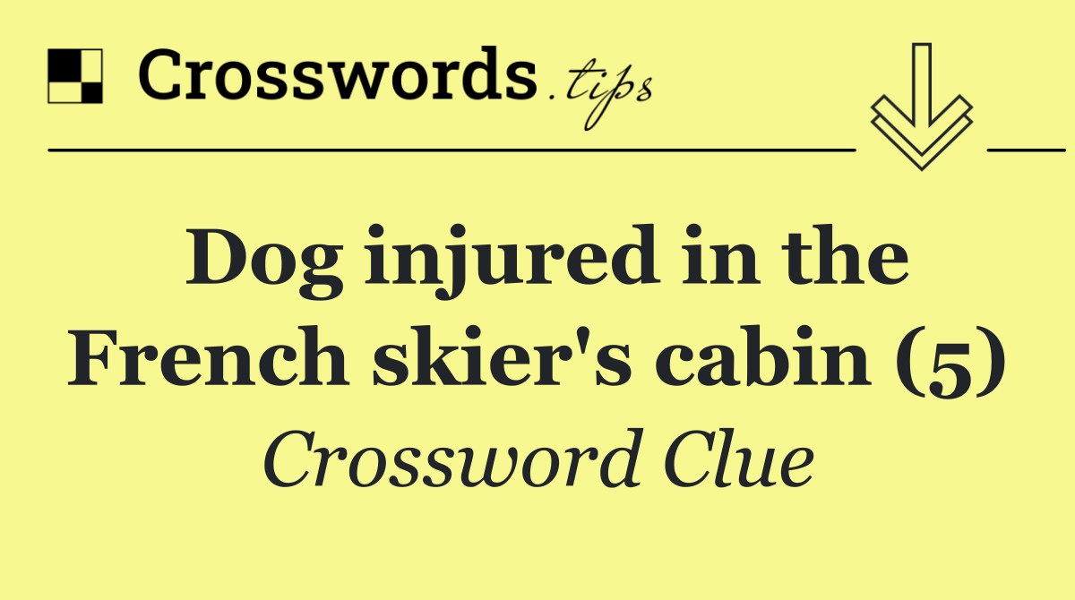 Dog injured in the French skier's cabin (5)