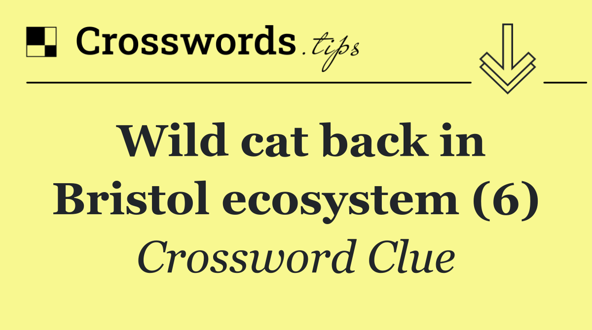 Wild cat back in Bristol ecosystem (6)