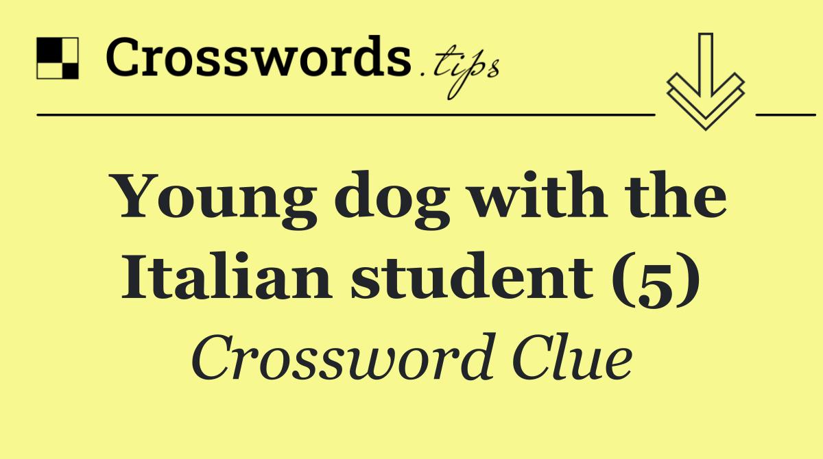 Young dog with the Italian student (5)