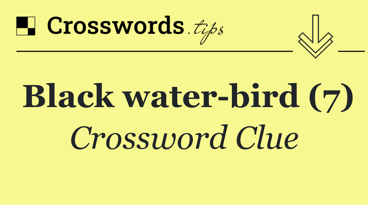 Black water bird (7)