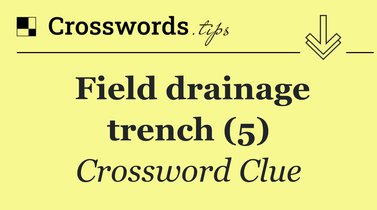 Field drainage trench (5)