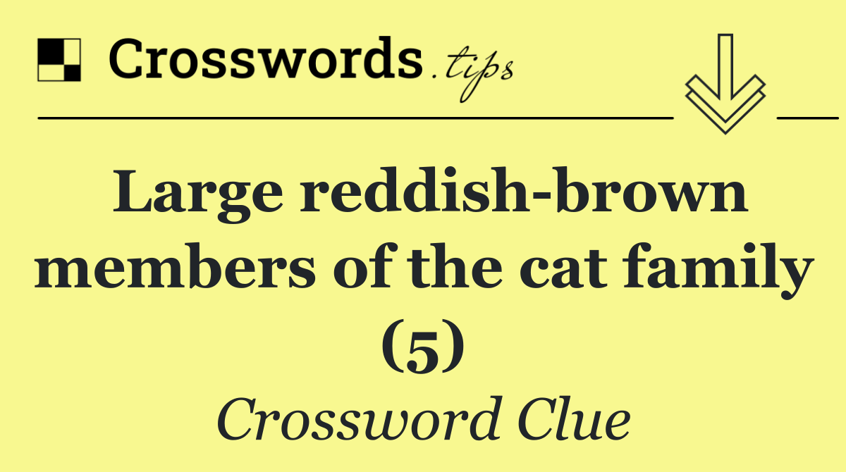 Large reddish brown members of the cat family (5)