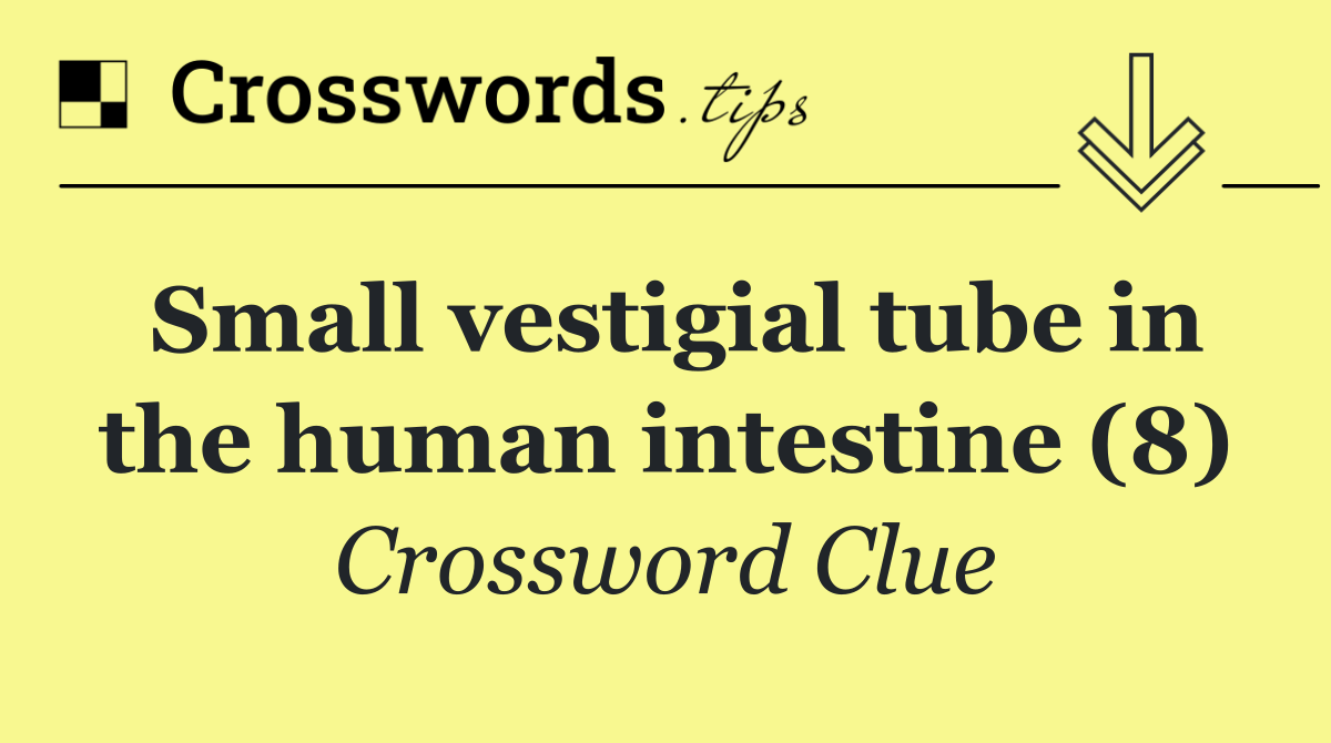 Small vestigial tube in the human intestine (8)