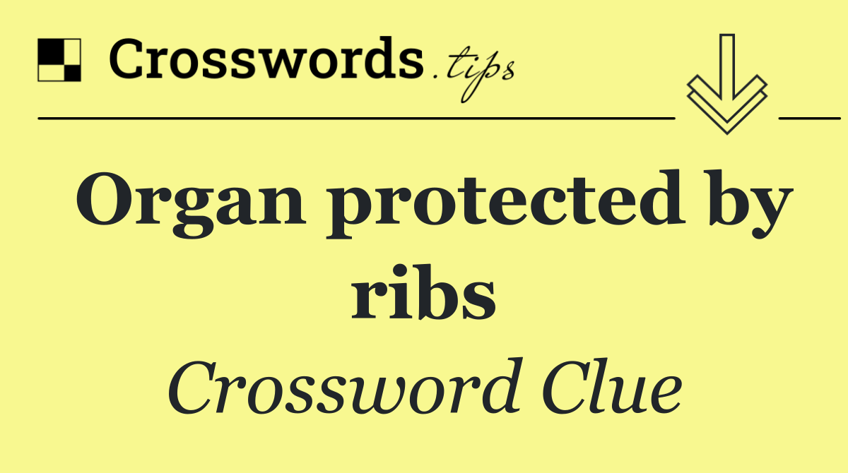 Organ protected by ribs