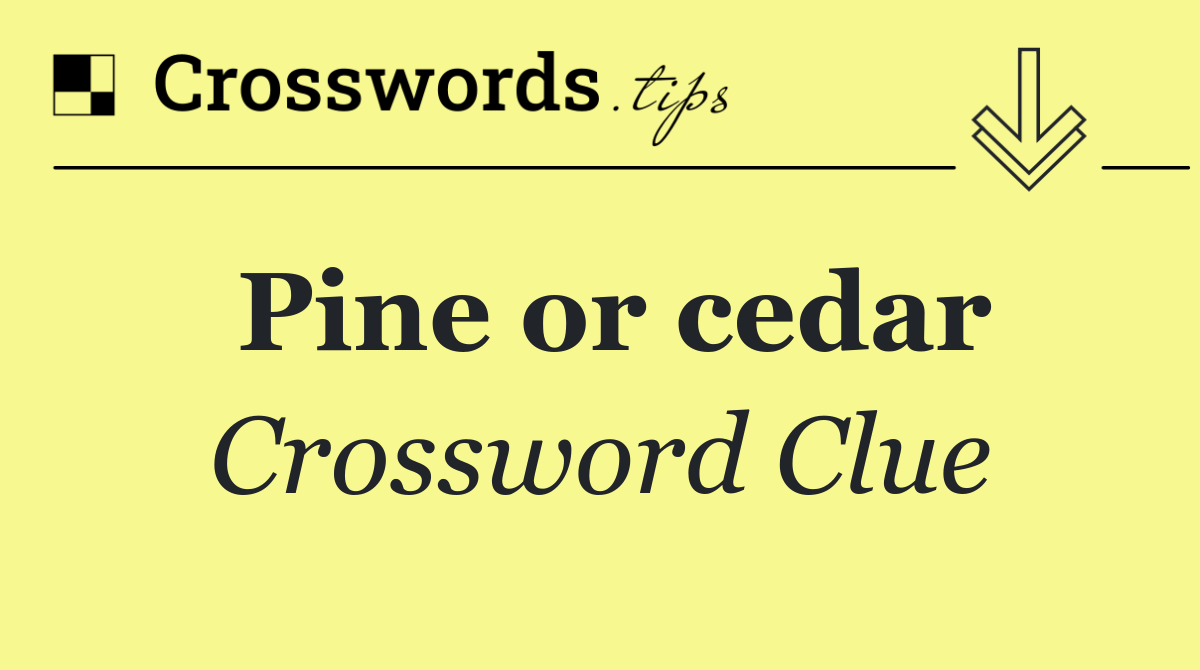 Pine or cedar