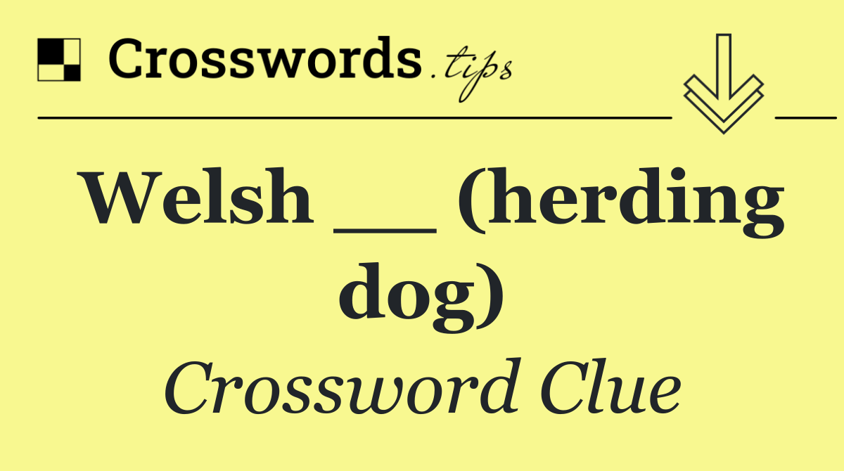 Welsh __ (herding dog)