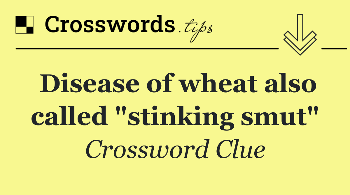 Disease of wheat also called "stinking smut"