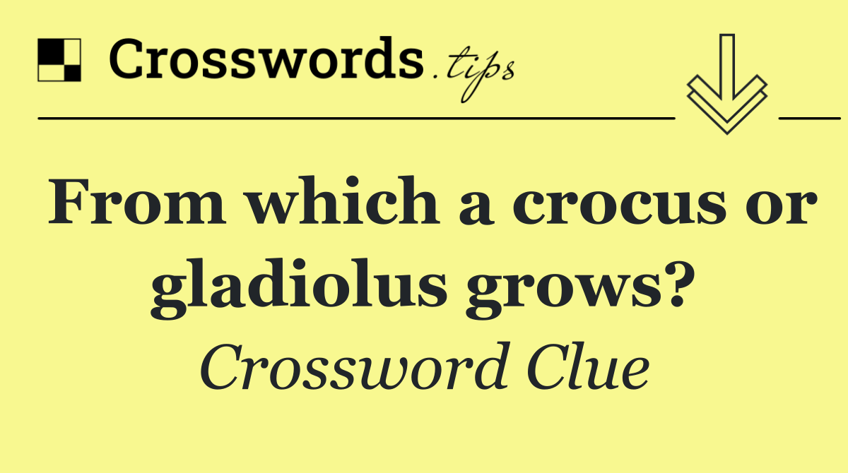 From which a crocus or gladiolus grows?