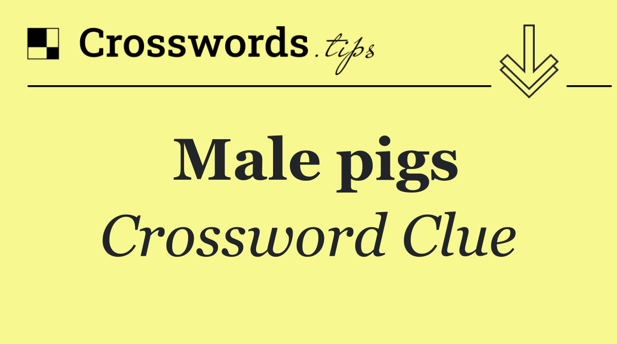 Male pigs