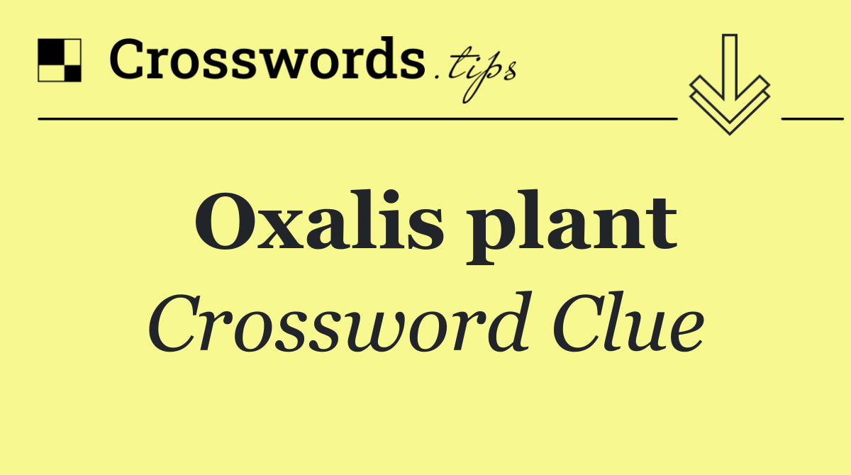 Oxalis plant