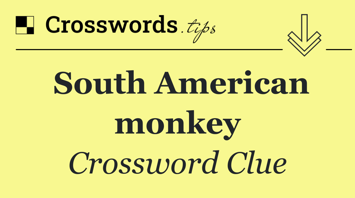 South American monkey