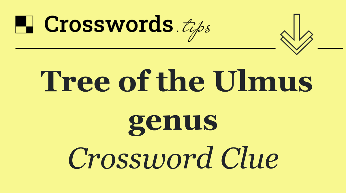 Tree of the Ulmus genus