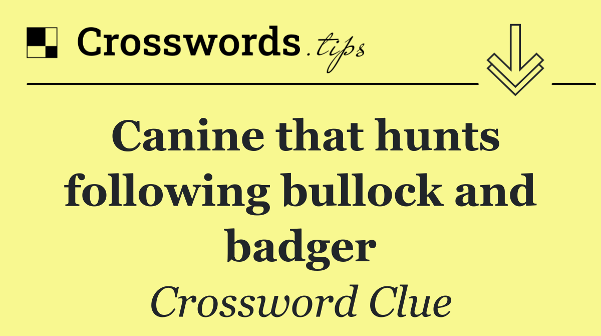 Canine that hunts following bullock and badger