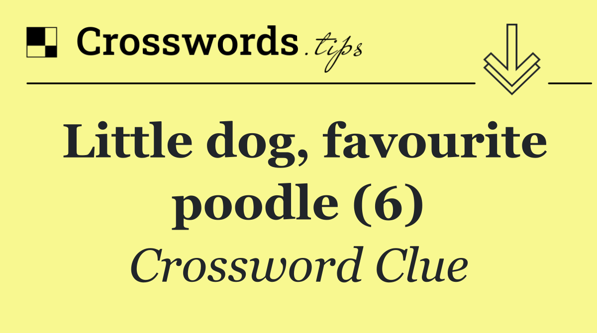 Little dog, favourite poodle (6)