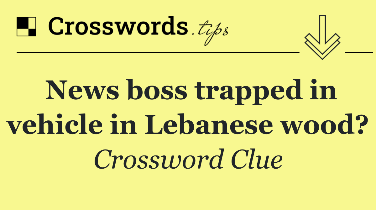 News boss trapped in vehicle in Lebanese wood?