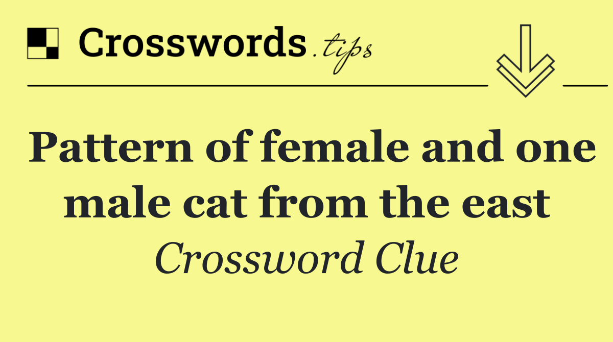 Pattern of female and one male cat from the east