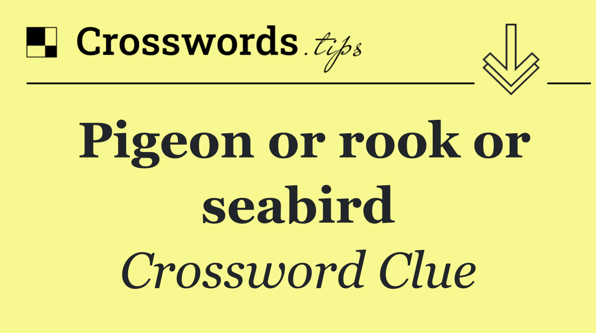 Pigeon or rook or seabird