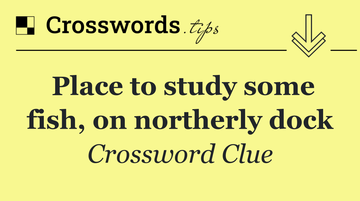 Place to study some fish, on northerly dock